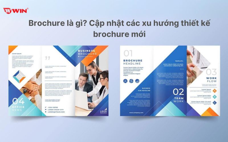 Brochure là gì Brochure là gì