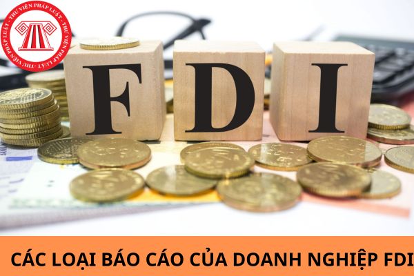 Tổng hợp những loại report của công ty fdi năm Tổng hợp các loại report của doanh nghiệp fdi năm