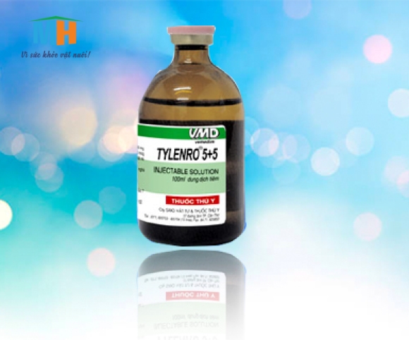 Tylenro Tylenro