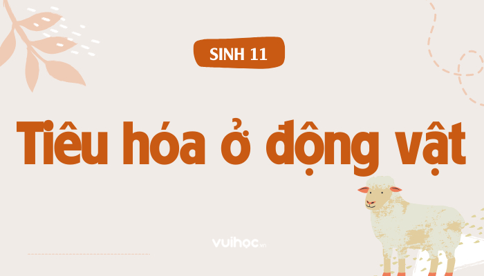 Sinh bài bác tiêu hóa Ở Động vật triết lý và bài tập Sinh bài xích tiêu hóa Ở Động vật định hướng và bài xích tập